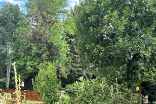 500 Apple Blossom Ln, Fort Collins, CO 80526 - Photo 47
