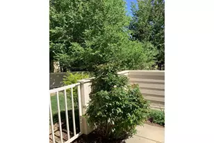 907 Hover Ridge Cir, Longmont, CO 80501 - Photo 17