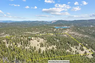 1398 Gold Lake Rd, Ward, CO 80481 - Photo 5