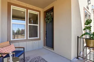 6241 Vernazza Way, Windsor, CO 80550 - Photo 3