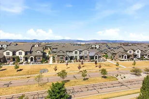 6241 Vernazza Way, Windsor, CO 80550 - Photo 47
