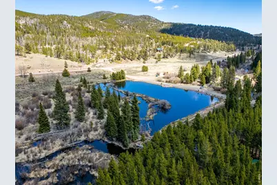 591 Tuscarora Way, Red Feather Lakes, CO 80545 - Photo 27