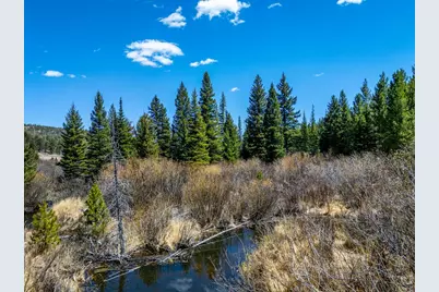 591 Tuscarora Way, Red Feather Lakes, CO 80545 - Photo 23