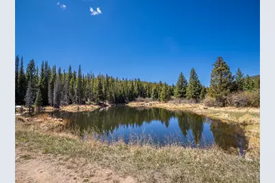 591 Tuscarora Way, Red Feather Lakes, CO 80545 - Photo 29