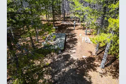 591 Tuscarora Way, Red Feather Lakes, CO 80545 - Photo 3