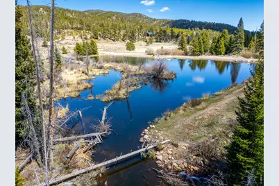 591 Tuscarora Way, Red Feather Lakes, CO 80545 - Photo 25