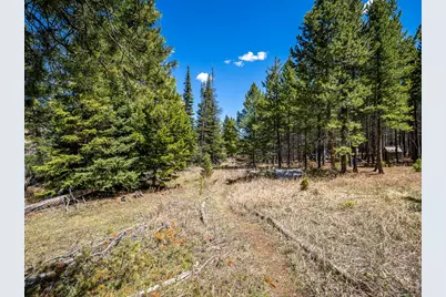 591 Tuscarora Way, Red Feather Lakes, CO 80545 - Photo 7