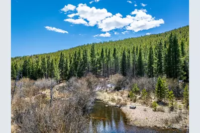 591 Tuscarora Way, Red Feather Lakes, CO 80545 - Photo 13