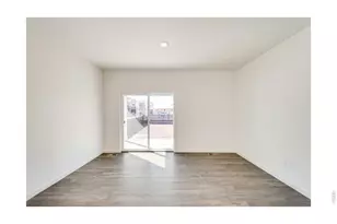 812 Trumpet Ln, Windsor, CO 80550 - Photo 5