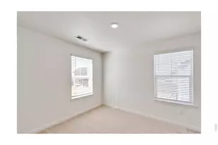 812 Trumpet Ln, Windsor, CO 80550 - Photo 15
