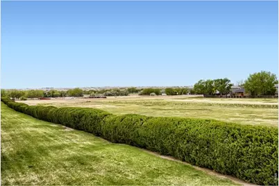 557 Trailwood Cir, Windsor, CO 80550 - Photo 23