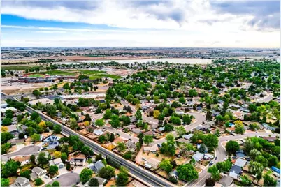 557 Trailwood Cir, Windsor, CO 80550 - Photo 41