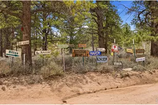35 Stellar Jay Cir, Red Feather Lakes, CO 80545 - Photo 33