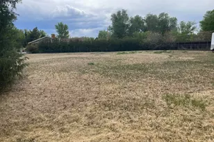 7057 Elm St, Niwot, CO 80503 - Photo 7