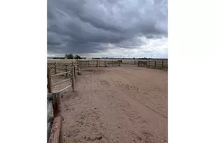 8969 Hwy 52, Wiggins, CO 80654 - Photo 43