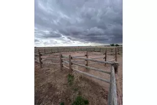 8969 Hwy 52, Wiggins, CO 80654 - Photo 41