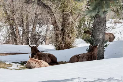 836 Vista Ln, Estes Park, CO 80517 - Photo 37