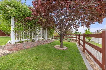 1531 New Season Dr, Windsor, CO 80550 - Photo 21