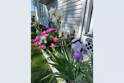 9916 County Road 48 1/2, Milliken, CO 80543 - Photo 49