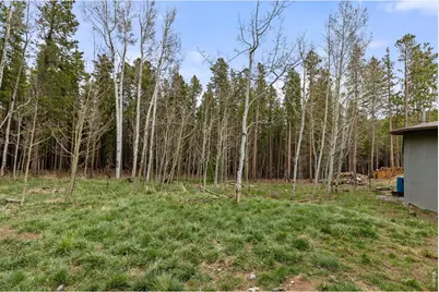 307 Dudes Dr, Rollinsville, CO 80474 - Photo 31