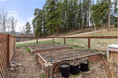 307 Dudes Dr, Rollinsville, CO 80474 - Photo 7