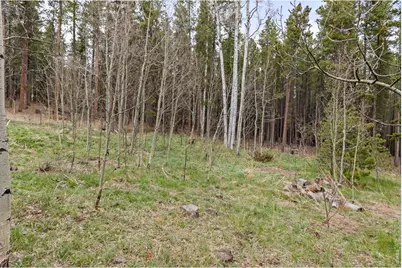 307 Dudes Dr, Rollinsville, CO 80474 - Photo 35