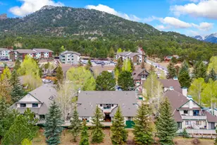 1010 S St Vrain Ave, Estes Park, CO 80517 - Photo 23