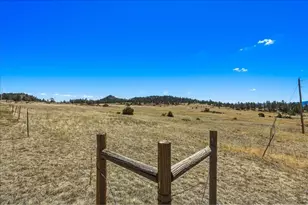511 Green Mountain Dr, Livermore, CO 80536 - Photo 37