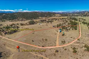 511 Green Mountain Dr, Livermore, CO 80536 - Photo 25