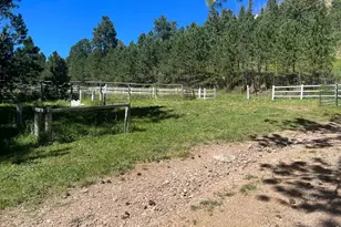 1268 Spring Valley Rd, Bellvue, CO 80512 - Photo 29
