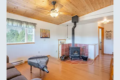 251 Huron Rd, Red Feather Lakes, CO 80545 - Photo 11