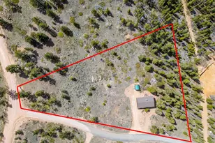 251 Huron Rd, Red Feather Lakes, CO 80545 - Photo 27