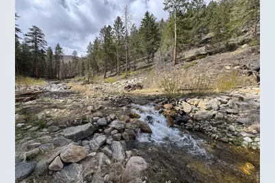 122 Black Hollow Rd, Bellvue, CO 80512 - Photo 11