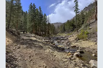 122 Black Hollow Rd, Bellvue, CO 80512 - Photo 3