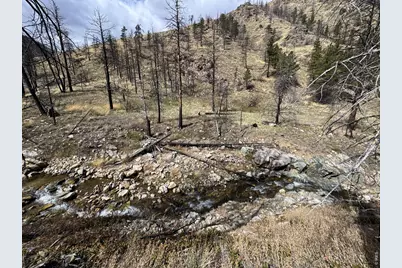 122 Black Hollow Rd, Bellvue, CO 80512 - Photo 19