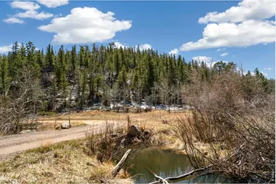 38 Ada Ct, Red Feather Lakes, CO 80545 - Photo 5