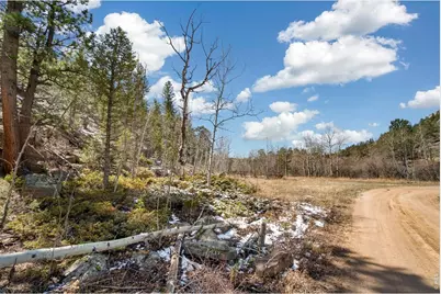 38 Ada Ct, Red Feather Lakes, CO 80545 - Photo 7
