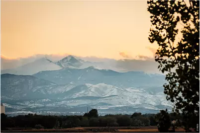 2509 Cub Lake Ct, Loveland, CO 80538 - Photo 23