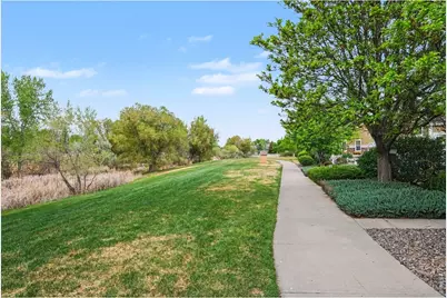 101 Whitney Ct, Windsor, CO 80550 - Photo 31