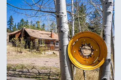 329 Snow Top Dr, Drake, CO 80515 - Photo 5