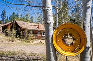 329 Snow Top Dr, Drake, CO 80515 - Photo 5