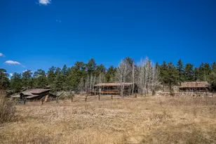 329 Snow Top Dr, Drake, CO 80515 - Photo 37