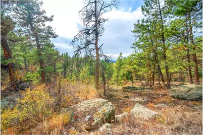 329 Snow Top Dr, Drake, CO 80515 - Photo 43