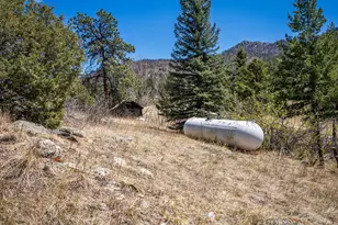 329 Snow Top Dr, Drake, CO 80515 - Photo 39