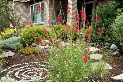 3908 Grand Canyon St, Fort Collins, CO 80525 - Photo 49