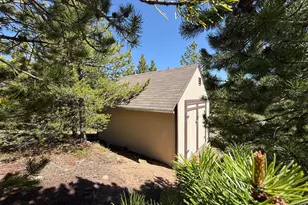 44 Miwok Ct, Red Feather Lakes, CO 80545 - Photo 45