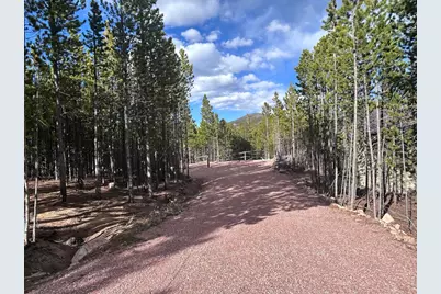 2596 Ottawa Way, Red Feather Lakes, CO 80545 - Photo 7