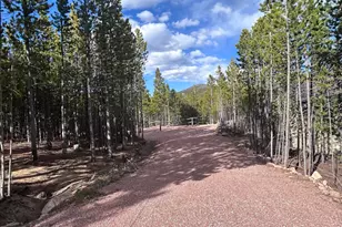 2596 Ottawa Way, Red Feather Lakes, CO 80545 - Photo 1