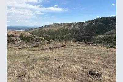 711 Saddle Ridge Rd, Bellvue, CO 80512 - Photo 19
