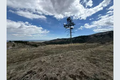 711 Saddle Ridge Rd, Bellvue, CO 80512 - Photo 5
